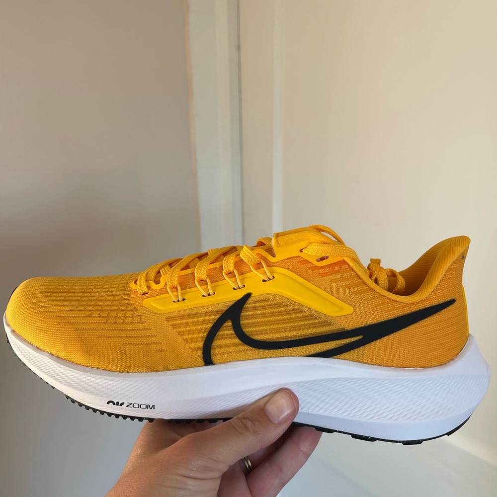 NWT Nike Air Zoom Pegasus 39